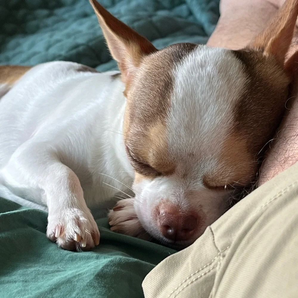 KMSCTE - Picture 8 of 14